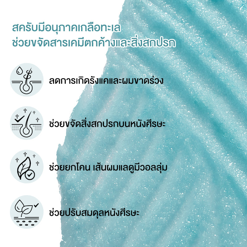 สครับหนังศีรษะ 300มล. กระตุ้นผมงอก ลดปัญหาผมมัน คันระคายเคือง รังแค. Cokki Sea Salt hair Scrub