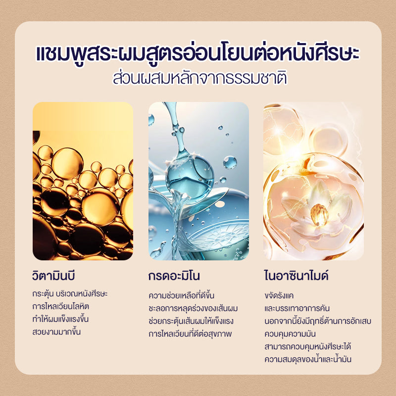 [ขายดี] แชมพู & ครีมนวด Cokki anti-hair loss Shampoo & Hair Conditioner 900 มล