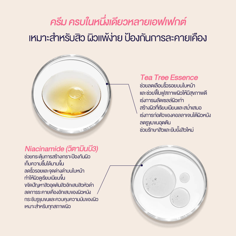 ครีมลดริ้วรอย 50 กรัม ครีมบํารุงผิวหน้า แม้ผิวบอบบาง Cokki TEA TREE ESSENCE REPAIR FIRMING CREAM