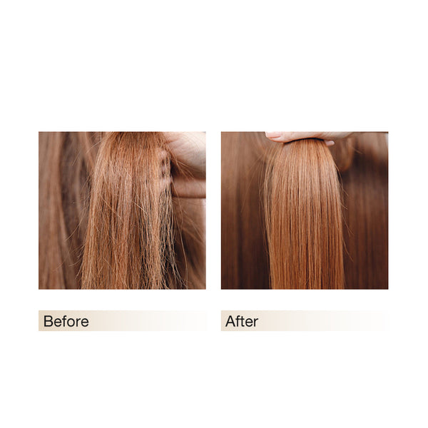 Anti-hair Loss Shampoo&Anti-Hair Loss Fragrance Conditioner